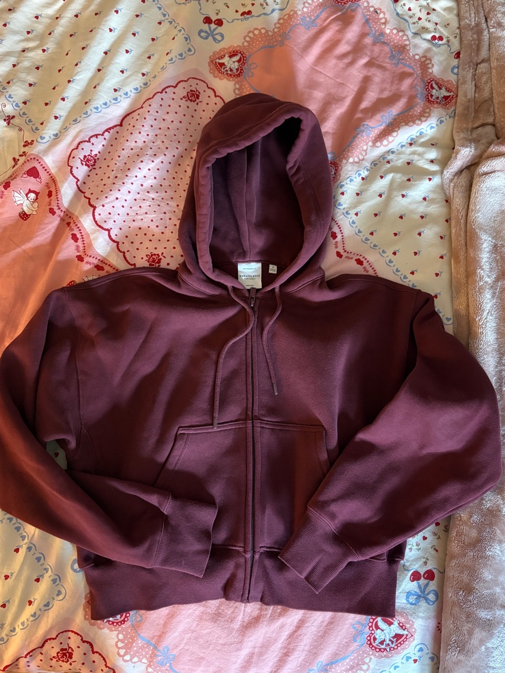 Aritzia TNA Cozy Sweatfleece Boyfriend Boxy Zip Hoodie Sumac Burgundy